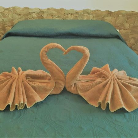 Beautiful Coastline Bungalow Near The Ocean 50 M Apartamento Costa De Antigua Exterior foto